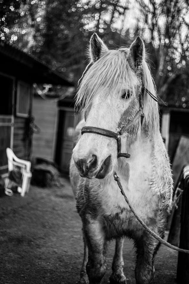 Crédits photo Sarah Stephani.