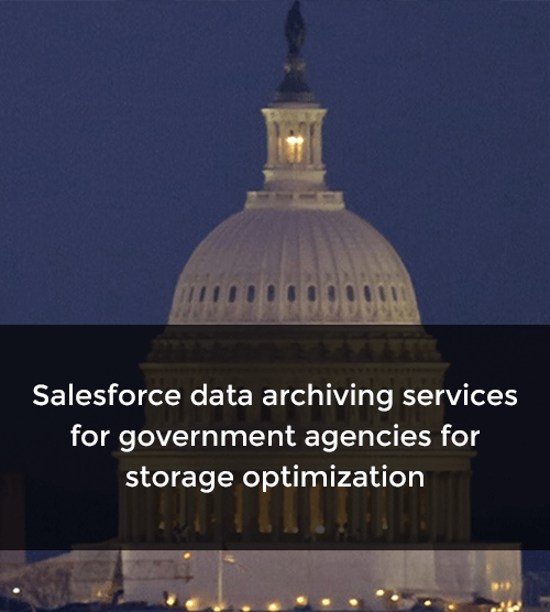Salesforce data archiving services for government agencies for storage optimization
