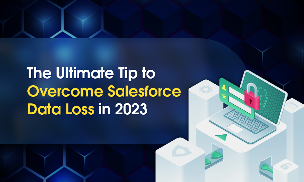 The Ultimate Tip to Overcome Salesforce Data Loss in 2023