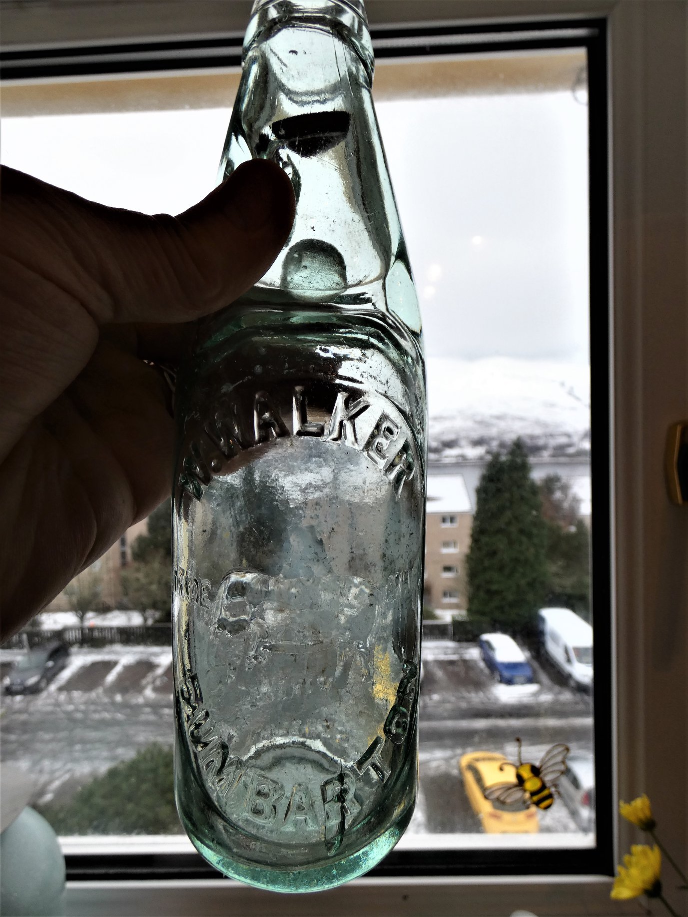 bottle
