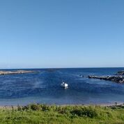 Tiree shore