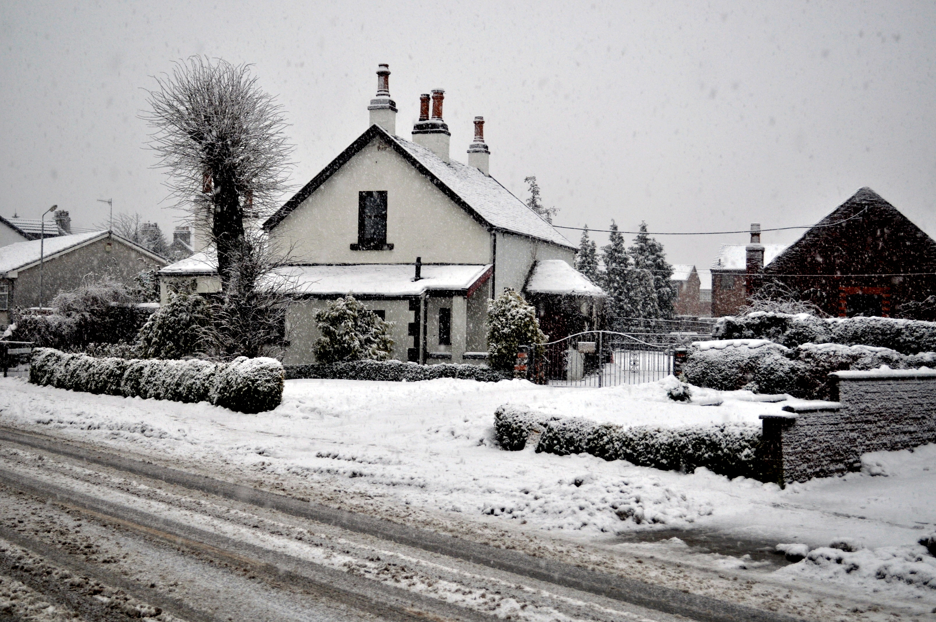 snow - Miller's Farm in Round Riding Road, Dumbarton.