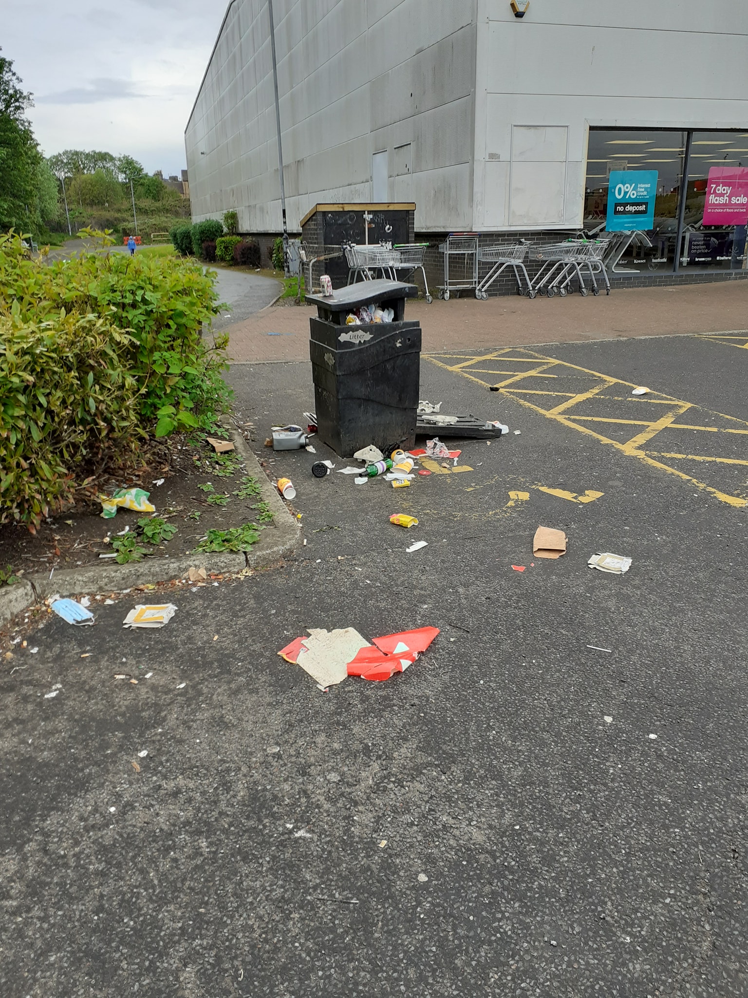 litter 3