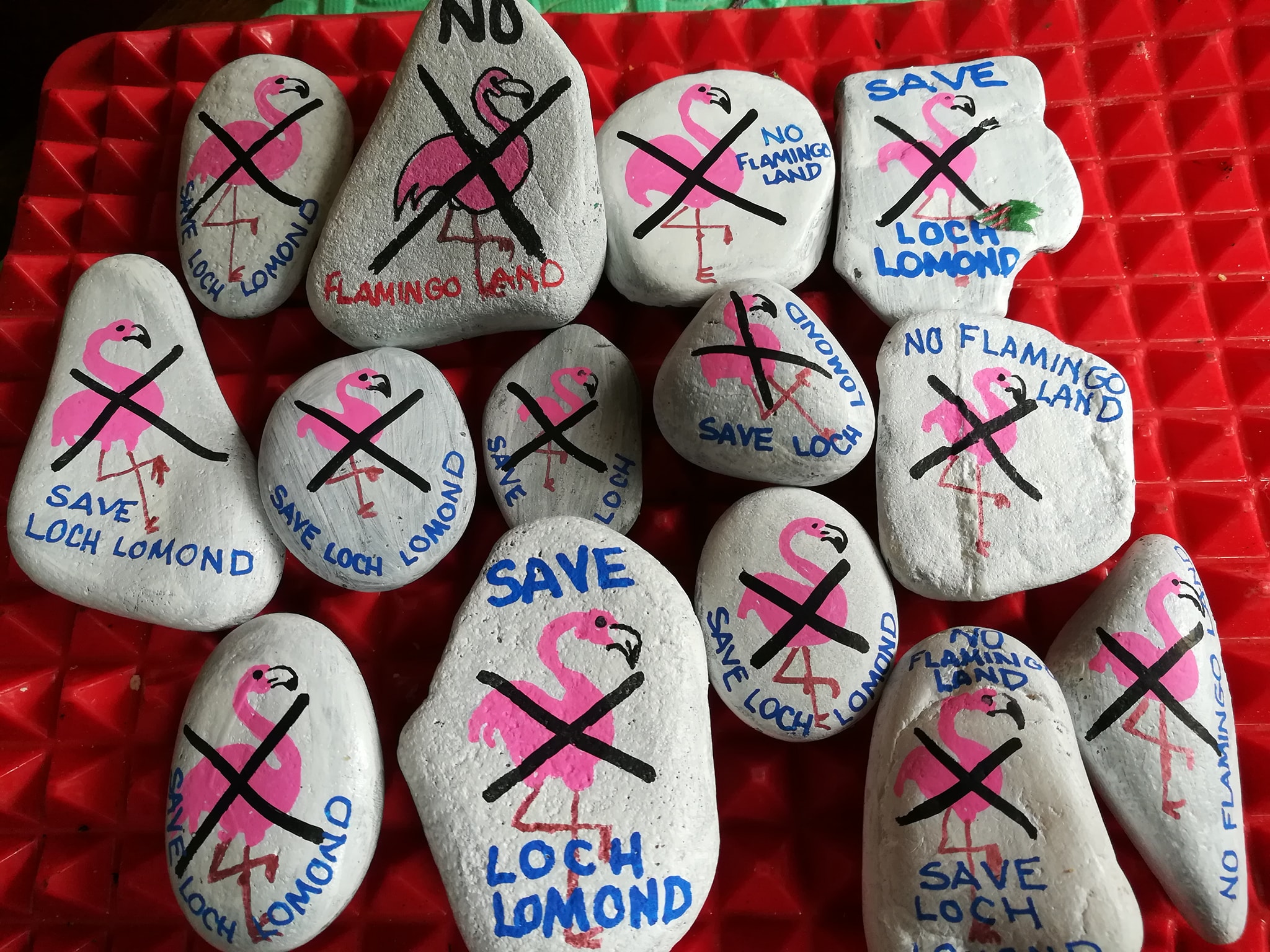 Flamingo rocks