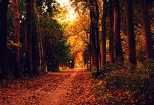 Live Demo Replace Radio Button And Checkbox With Image Using Jquery - Premium Mountain Picture Gallery - Retina