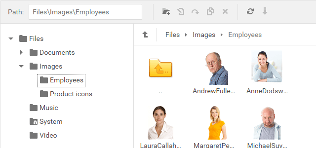 ASP.NET MVC Extension Demos | DevExpress