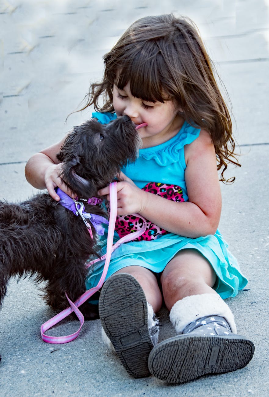 Do Dogs Make Us Happier? 15 Ways Pets Infuse Happiness into Our Life