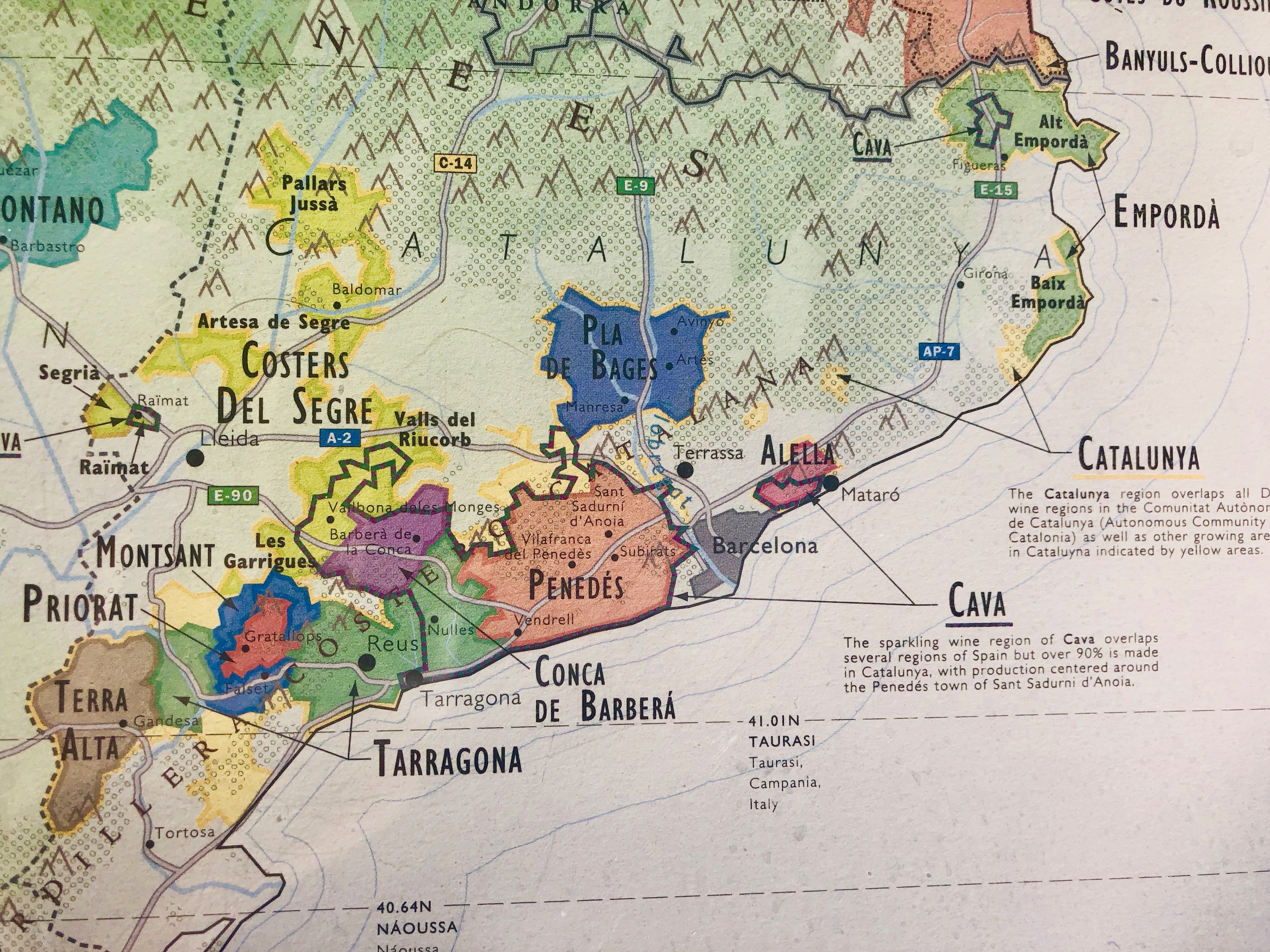 CATALUNYA Wine - Demystifying 