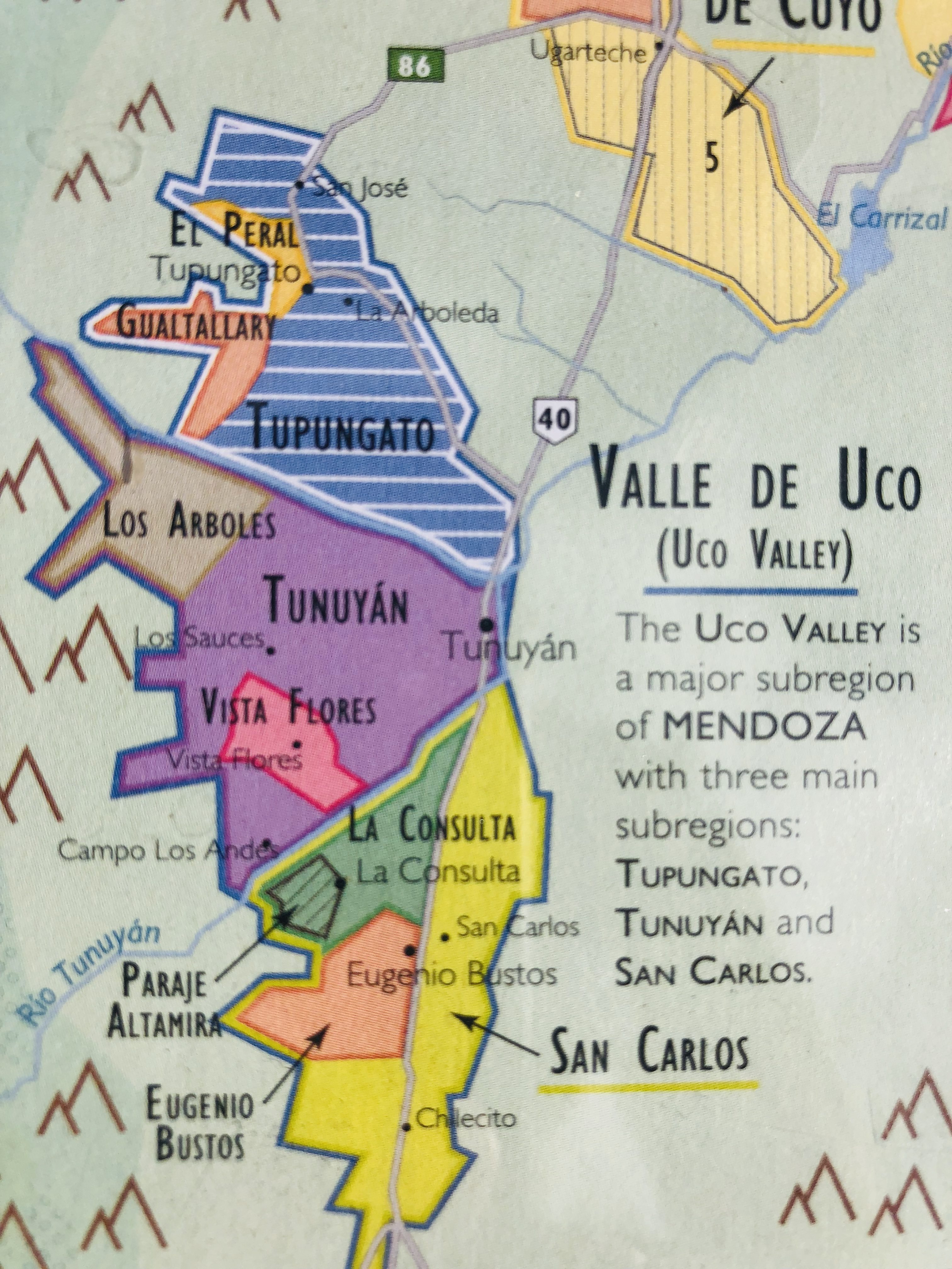 CUYO/ MENDOZA Wine Demystifying "The Vine"