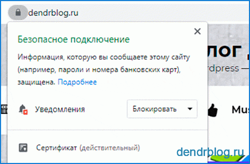 Браузер Chrome https сайт Браузер Chrome https сайт
