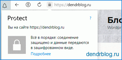 Браузер https сайт — нет предупреждения Браузер https сайт — нет предупреждения
