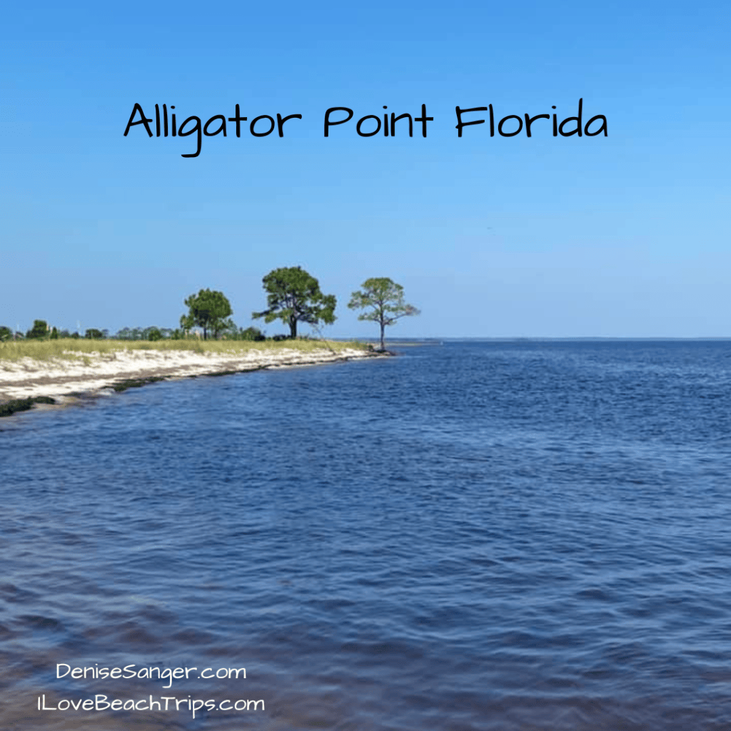 Directions To Alligator Point Florida At Alan Padilla Blog Alligator Point 1024x1024 