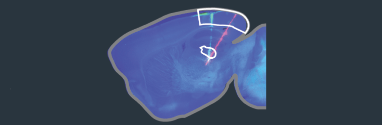 Denman Lab - Best Landscape Images in 8K