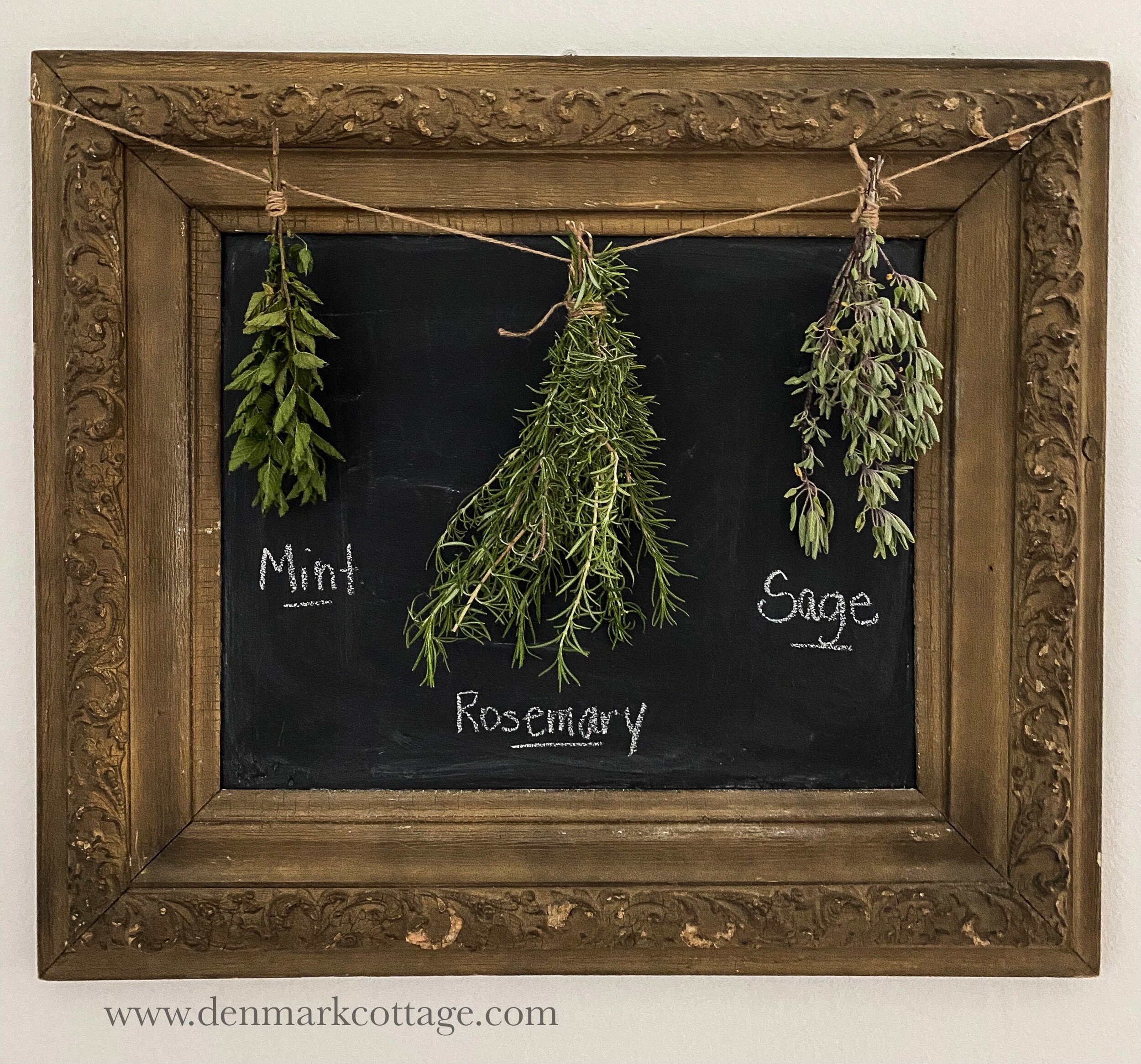 Drying Herbs