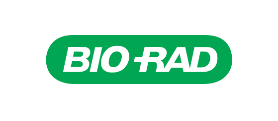 King B Medium Bio Rad - Stunning Abstract Background - 8K