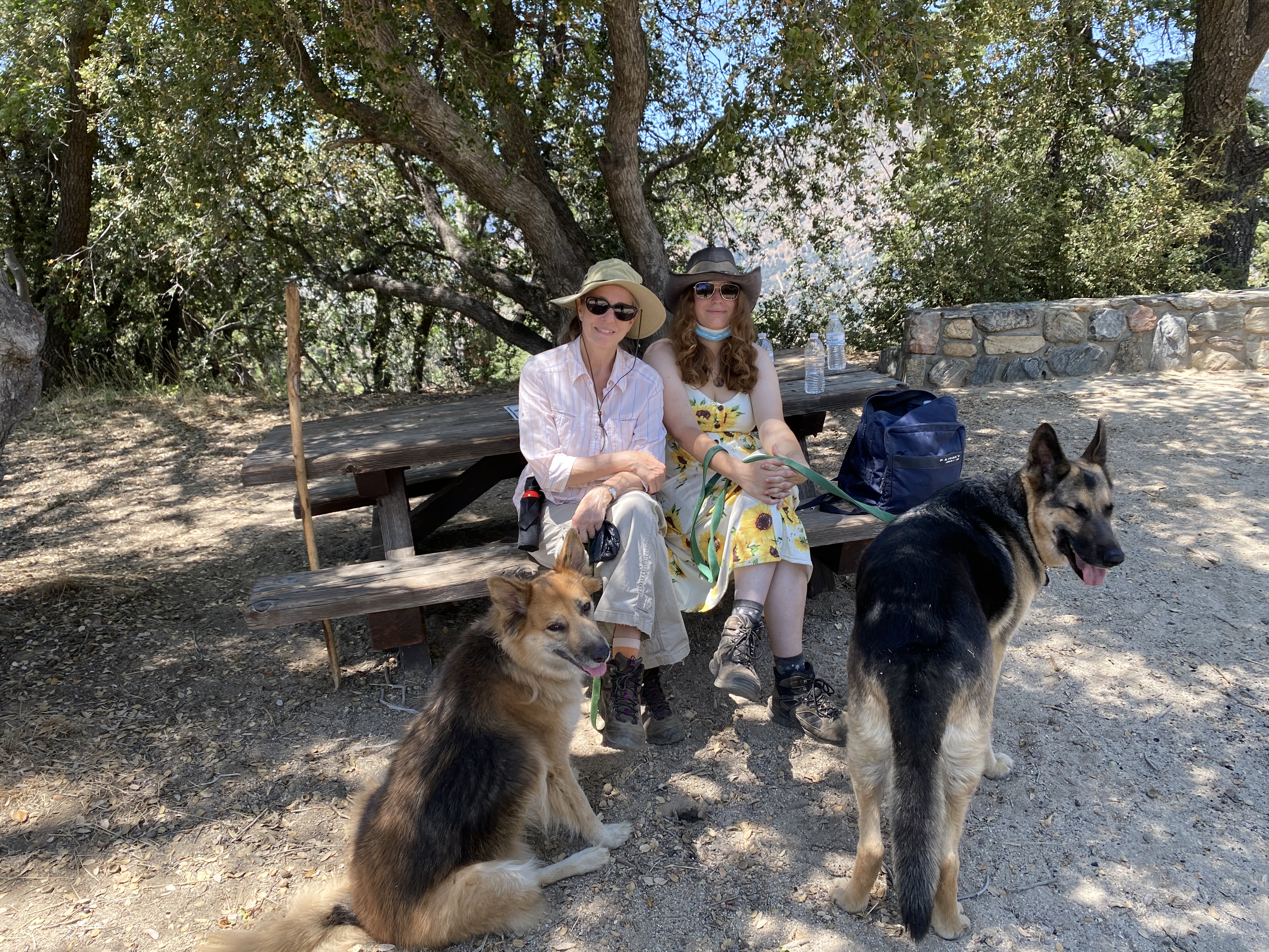 Vista View Rio Monte Trail