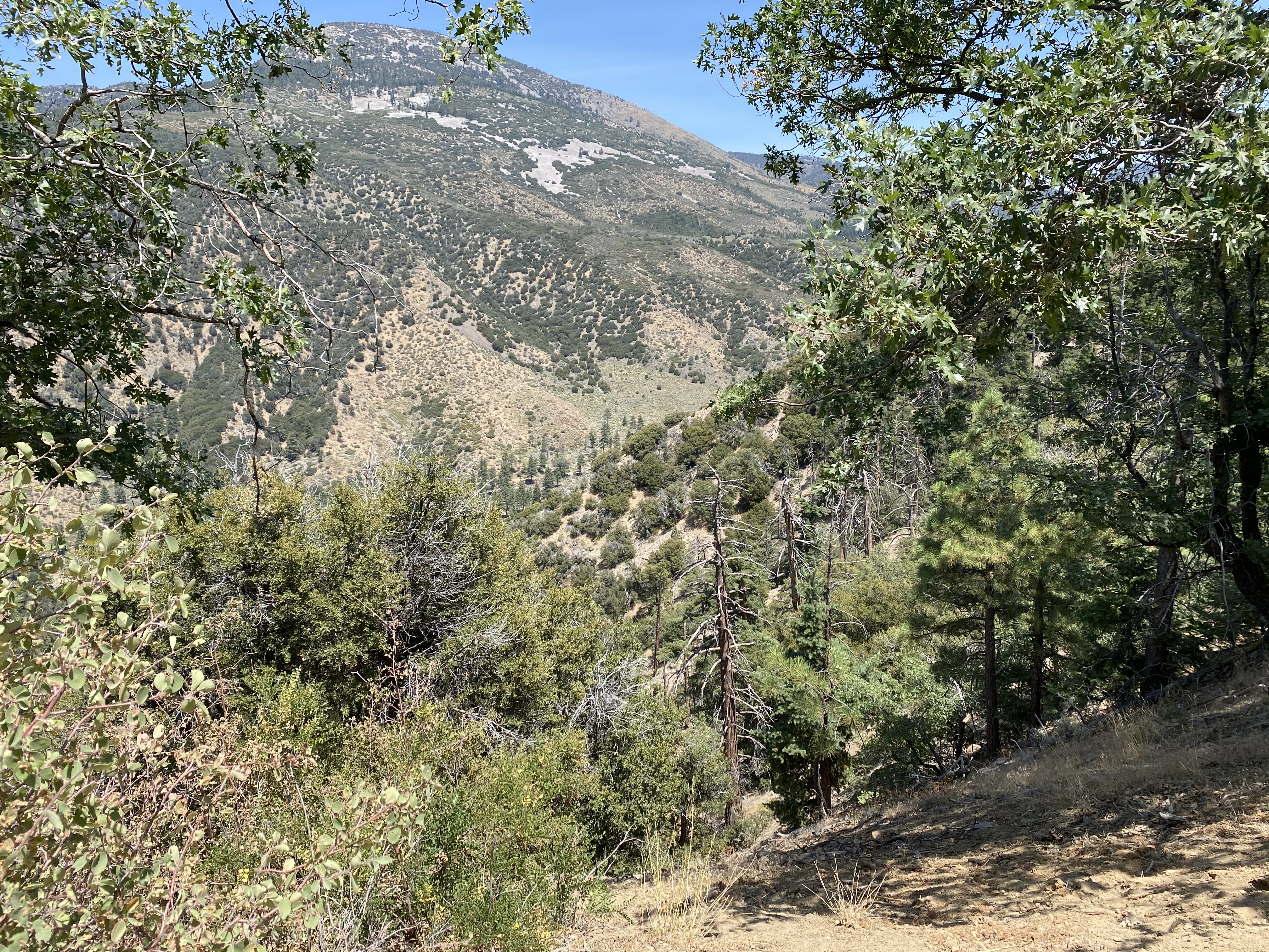 Vista View Rio Monte Trail