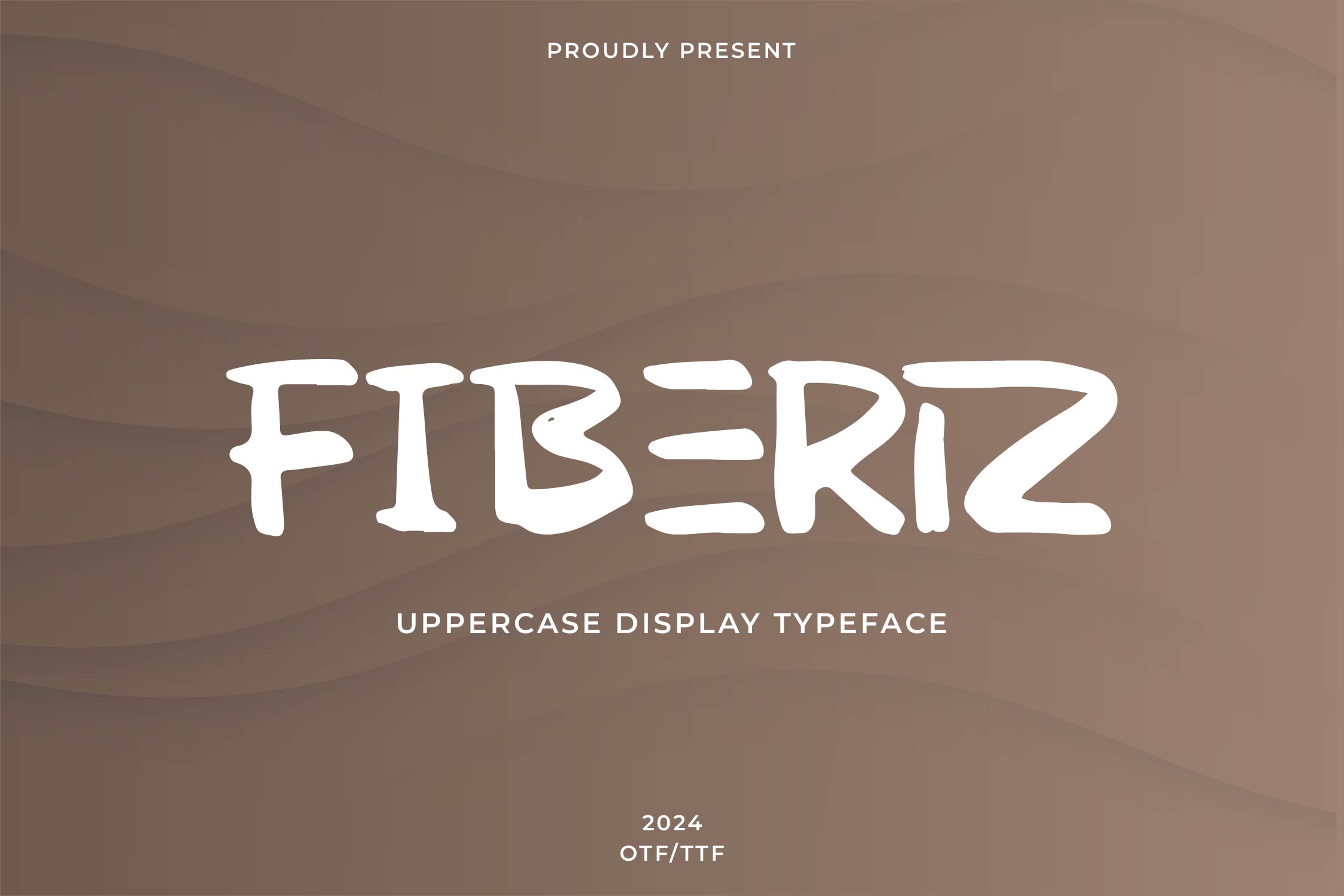 Fiberiz 01