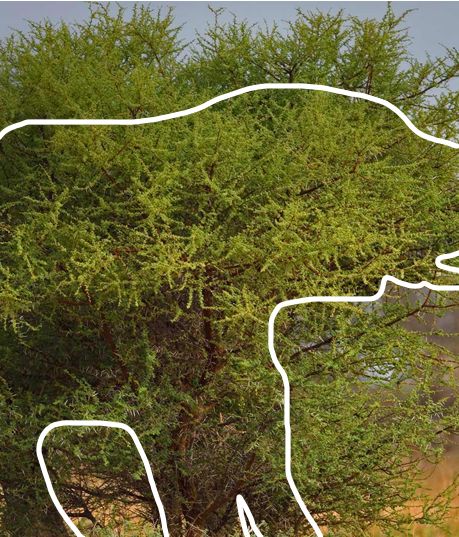 Introduction To Occupancy Models - Dark Photo Collection - Desktop Quality