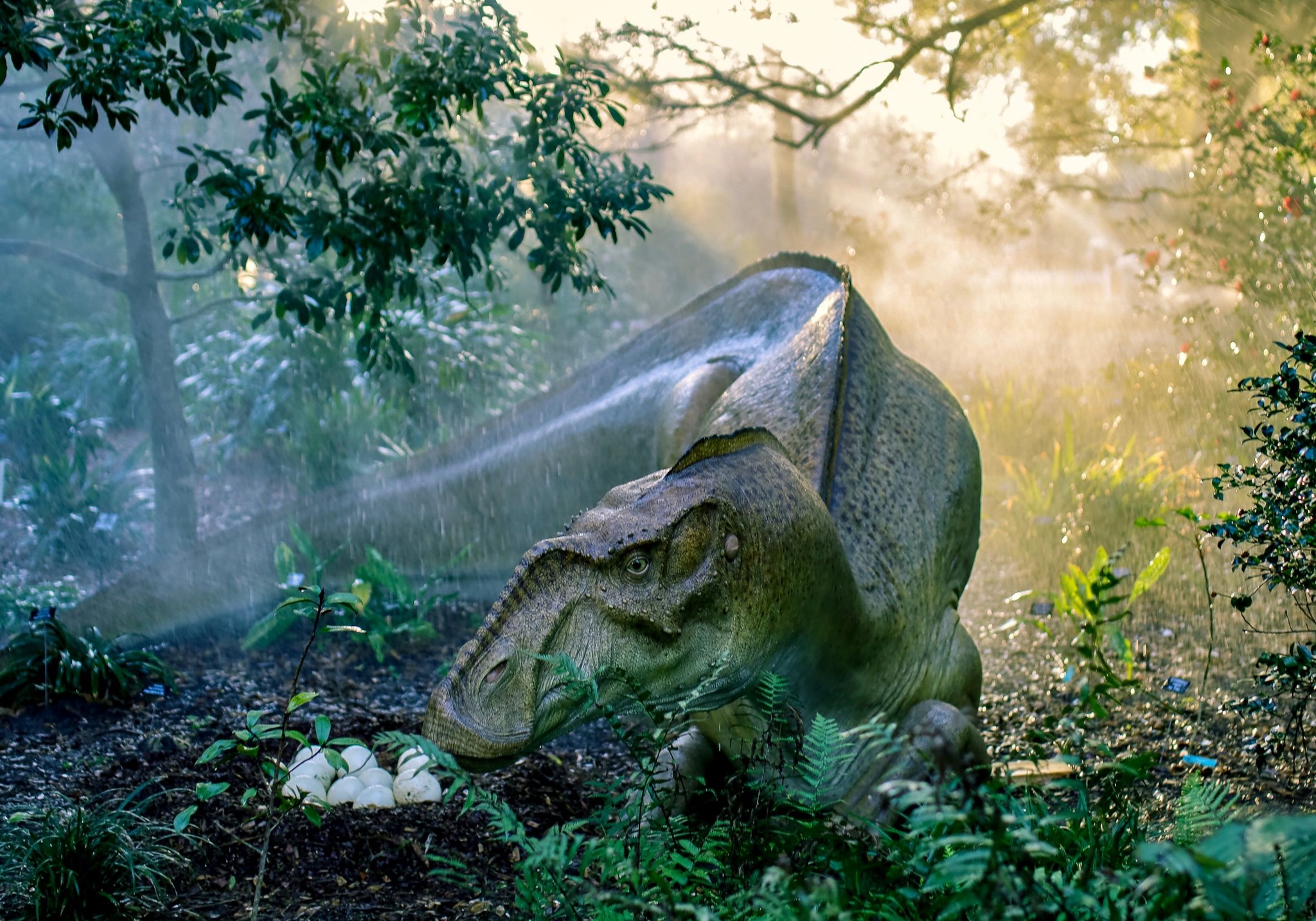 (Leu Gardens)