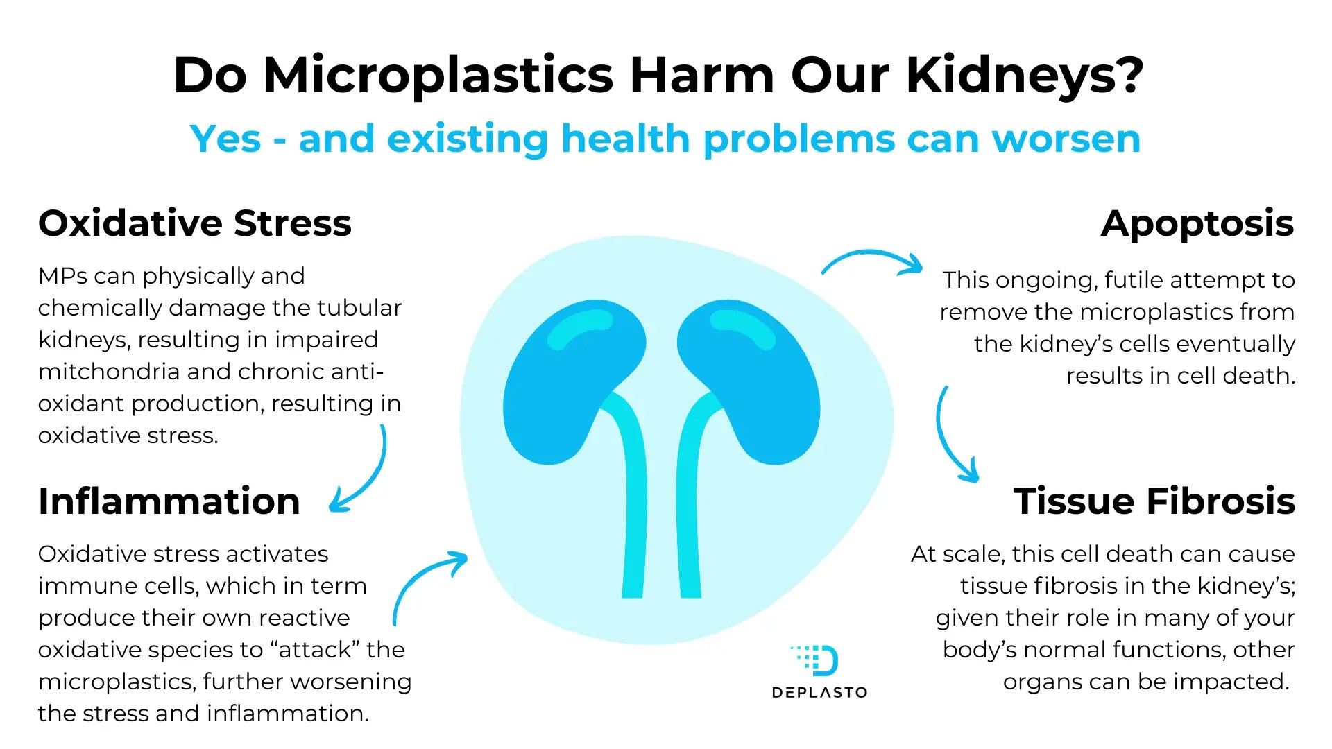 Microplastics in pee can cause harm to kidneys through a variety of mechanisms delineated here