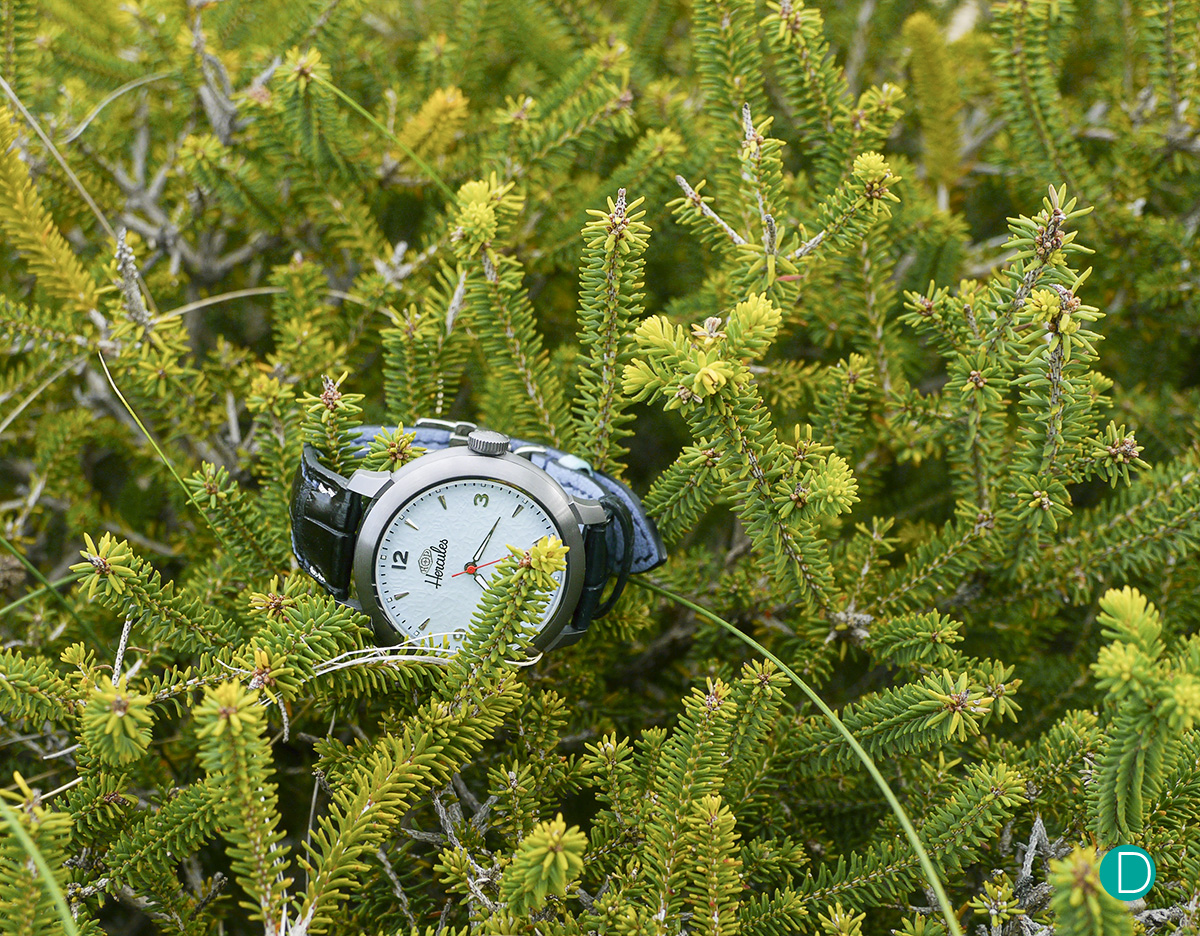 Review: Hercules HP Watch in Tantalum with Ice Blue Dial :