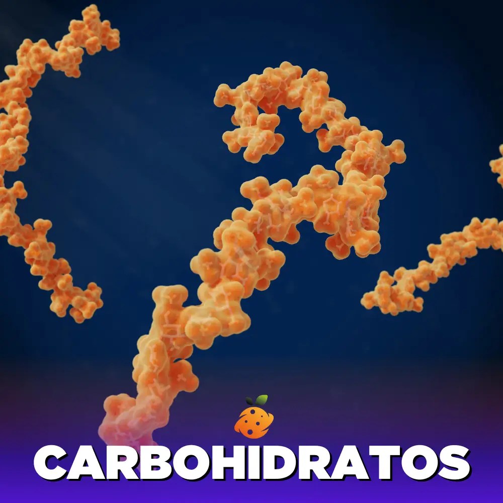 Los Secretos de los macronutrientes y micronutrientes - Imagen 4