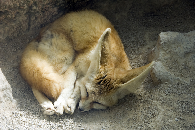 Rest.