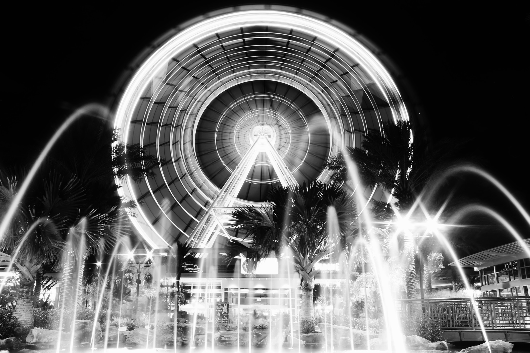 ORLANDO EYE Depth of Fields