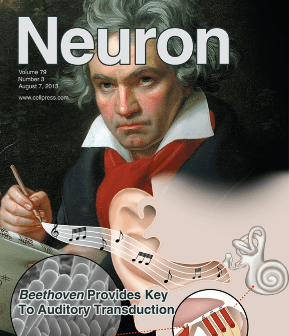 Integrating Auditory Stimuli into Long-Term Care