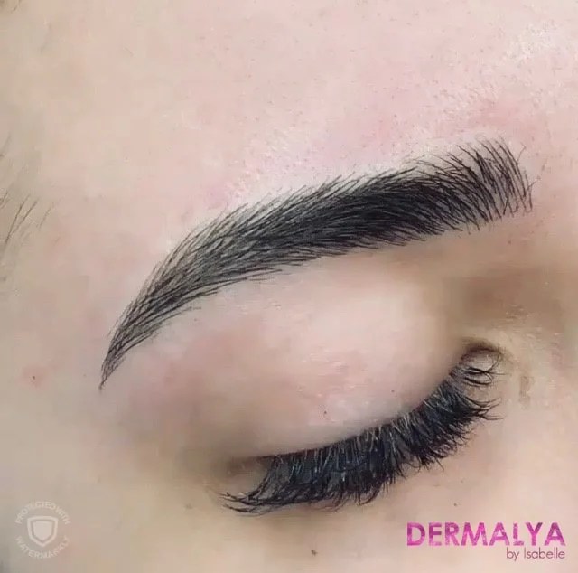 Maquillage Permanent Sourcils Lyon Dermopigmentation Microblading