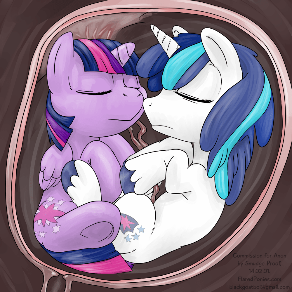 540708 - dead source, safe, artist:smudge proof, shining armor, twilight  sparkle, oc, alicorn, pony, unicorn, comic:kinship rising, g4, age  regression, commission, duo, enkindling kinship, fetish, foal, implied  unbirthing, in utero, internal, placenta,