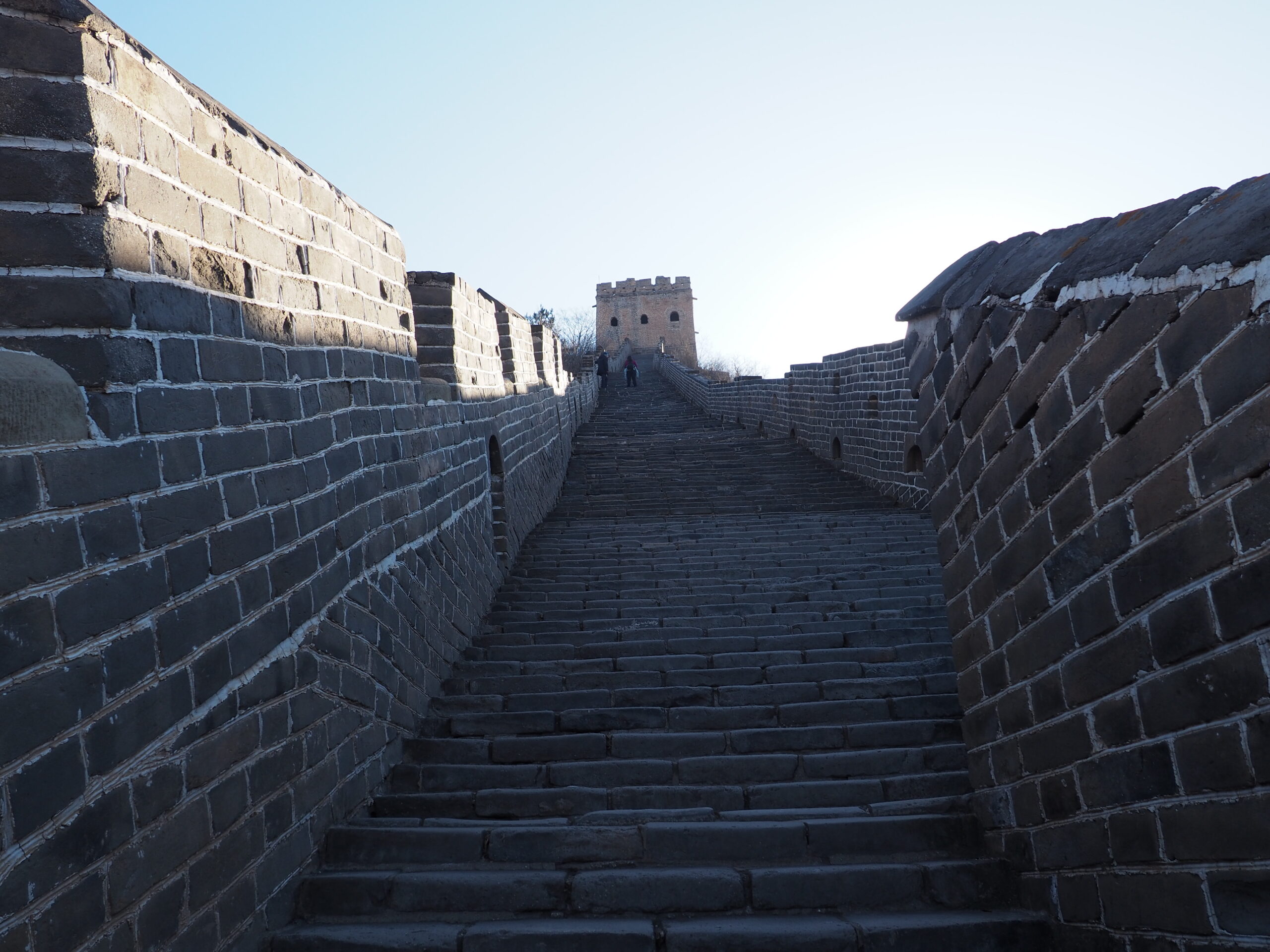 Eek steps