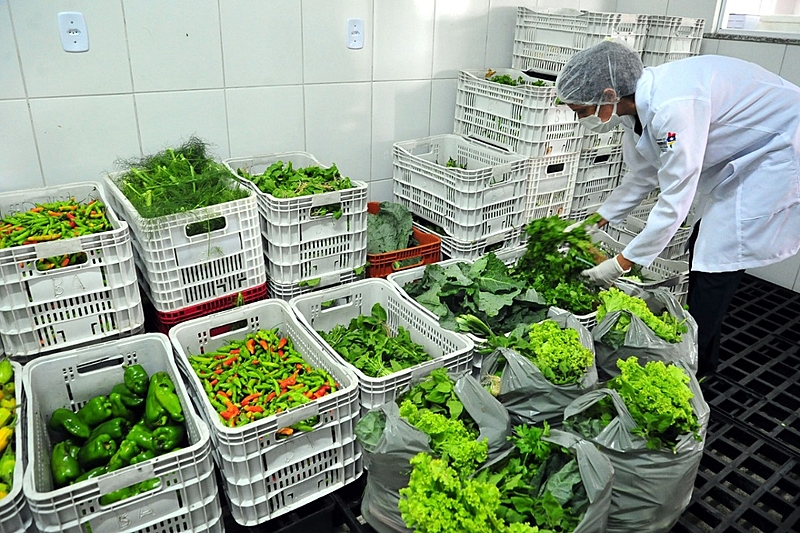 alimentação saudável