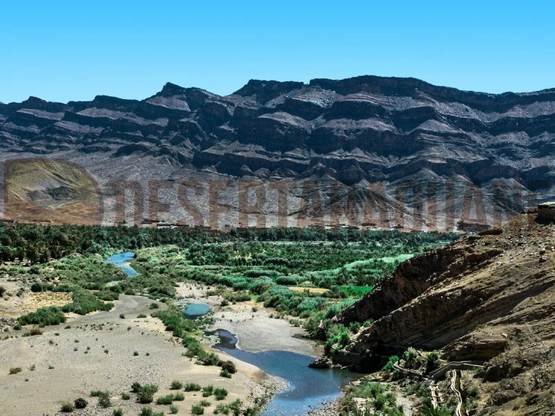 destination-card-image