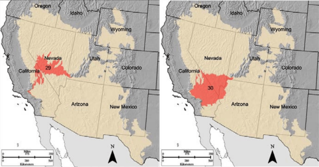Where Is The Mojave Desert Location States Facts 10.3 1024x539 
