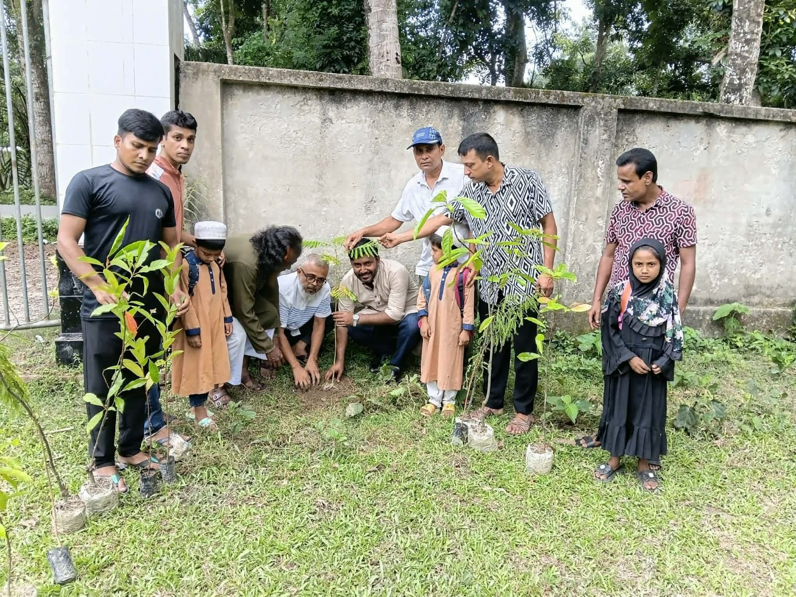 কবি কাদের নেওয়াজের আঙ্গিনায় সবুজ আন্দোলনের বৃক্ষরোপন কর্মসূচি