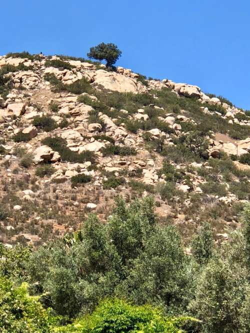 Rancho La Puerta