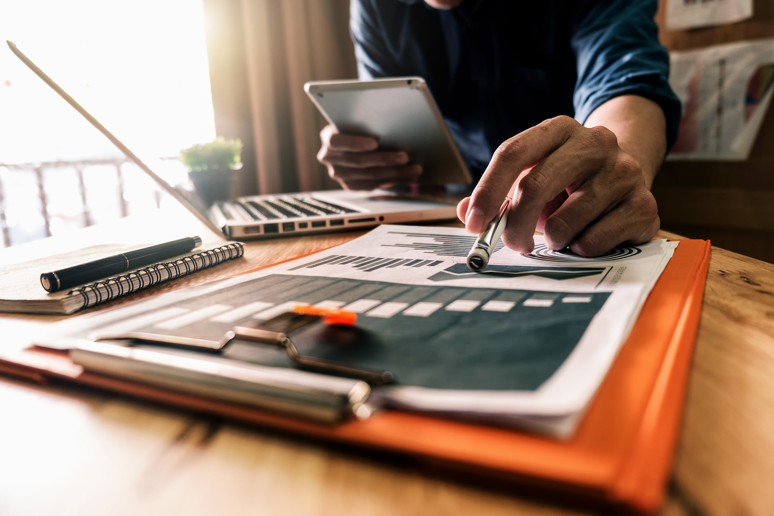 Enterprise Wide Design System Improving - Nature Designs - Premium 4K Collection