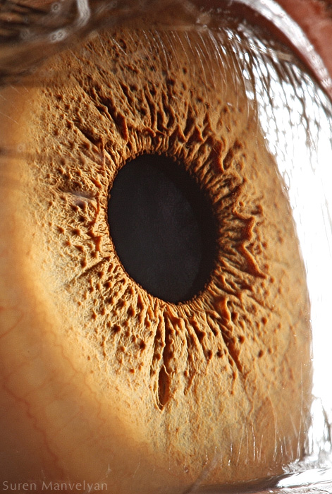96