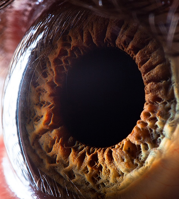 eye