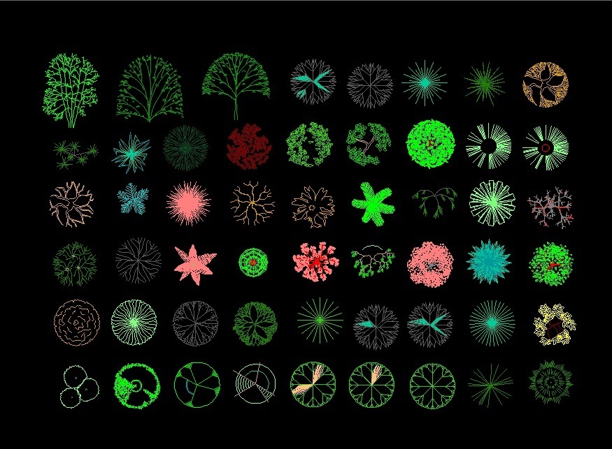 Trees Shrubs And Palm Trees Plants Elevation And Top View Plan 2d Dwg Block For Autocad Designs Cad