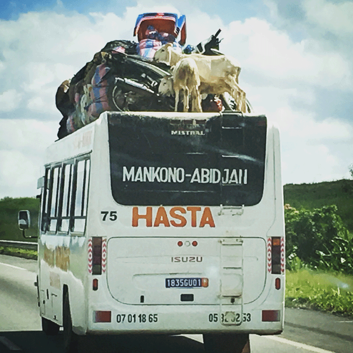 african-bus-design-shadow