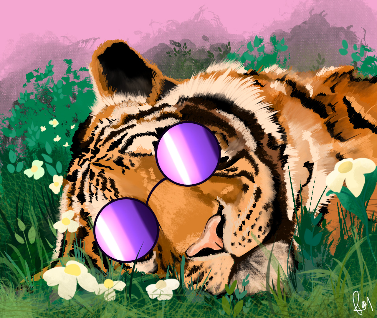Timidtiger