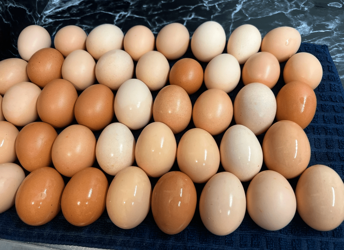 A few dozen eggs just washed and drying on a towel on the marble countertop. The eggs are different shades of tan.