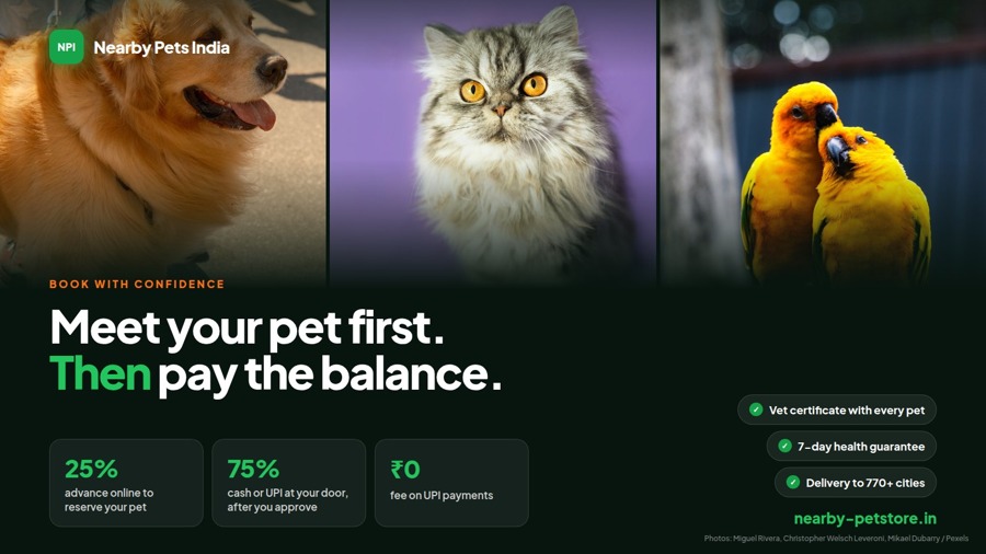 Meet First, Pay Later: How Nearby Pets India Turned Trust Into a Business Model