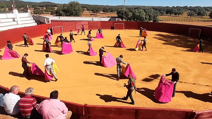 El toreo, como escuela de vida. – DE SOL Y SOMBRA