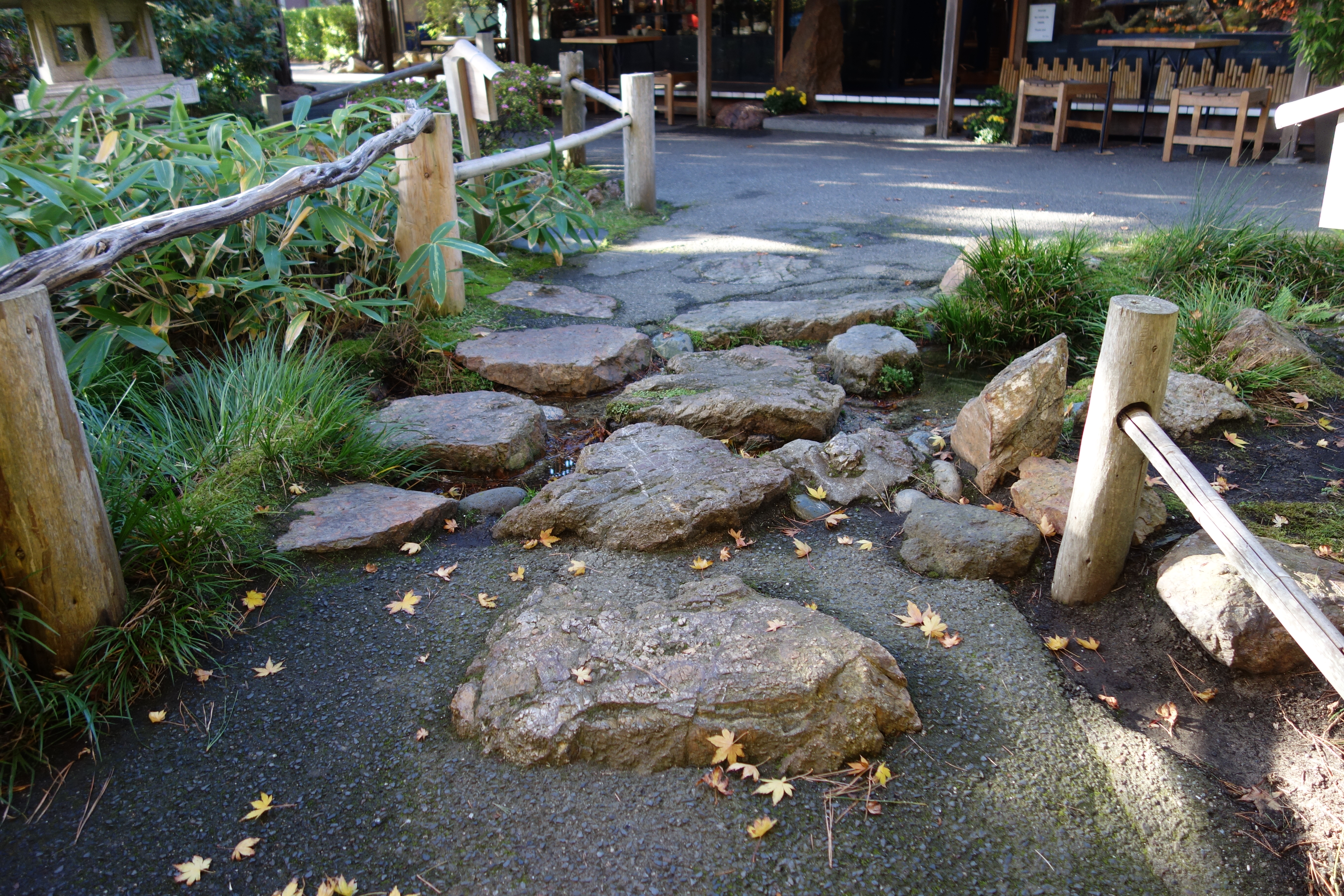 Japanese Garden, San Francisco
