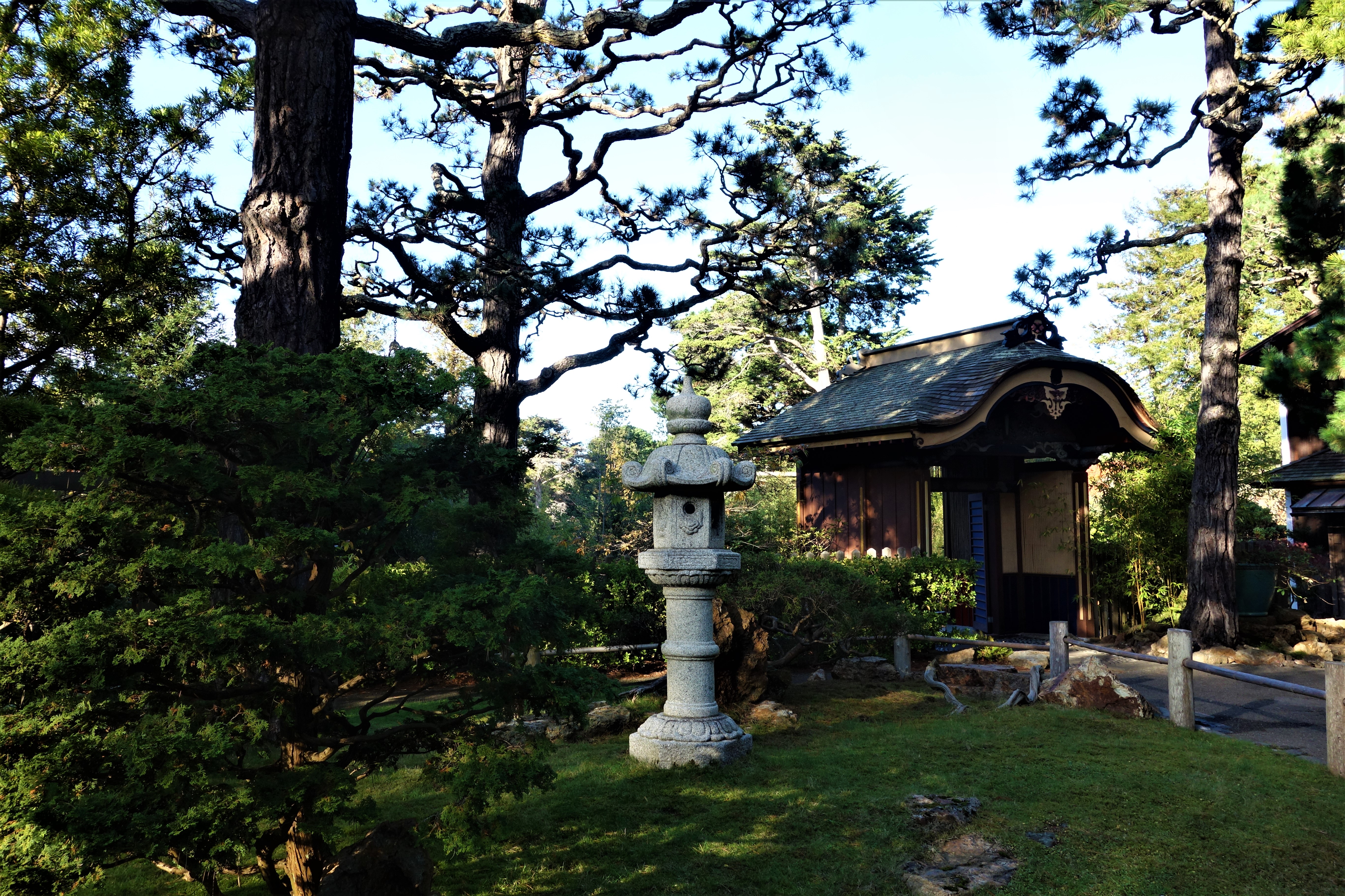 Japanese Garden, San Francisco