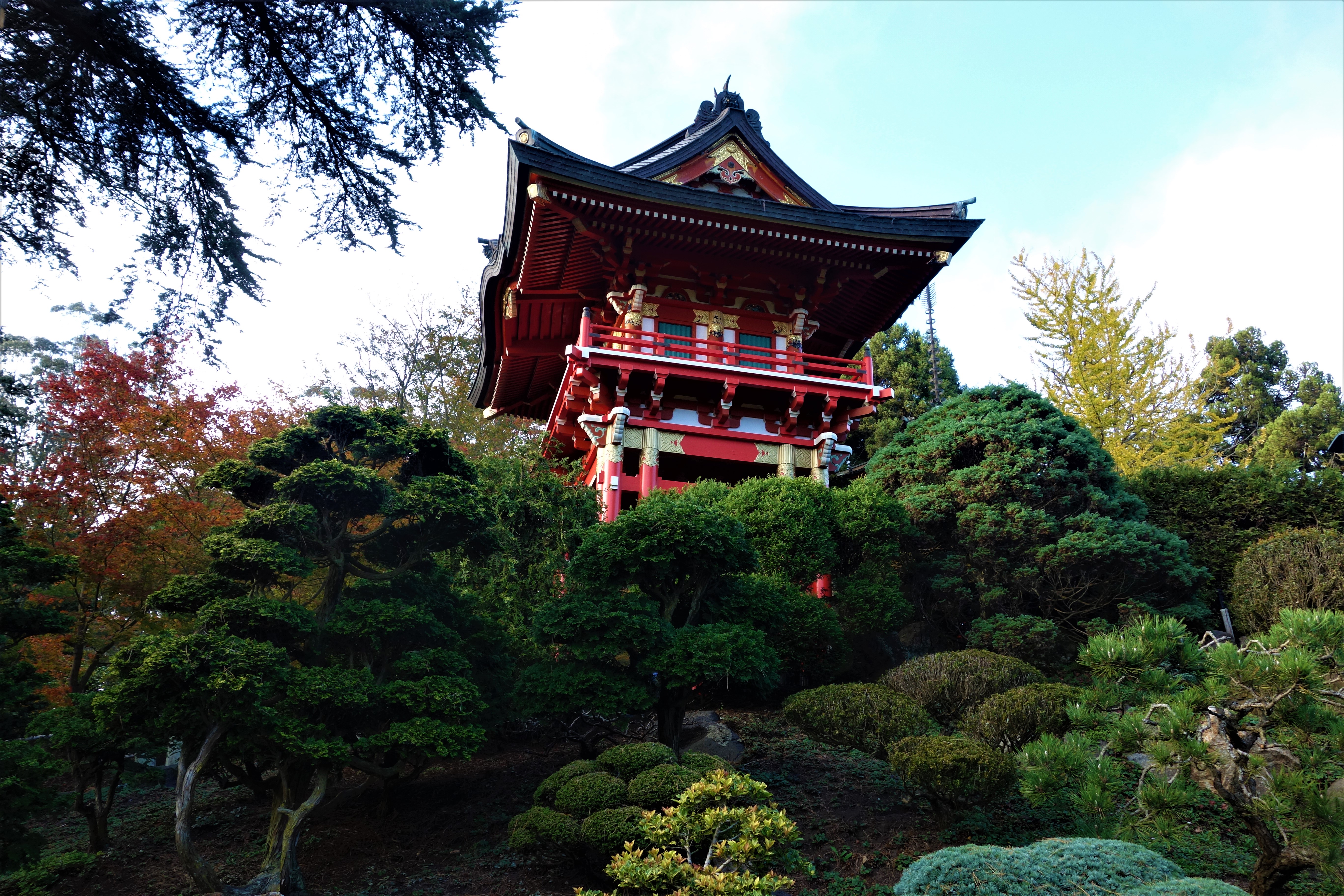 Japanese Garden, San Francisco